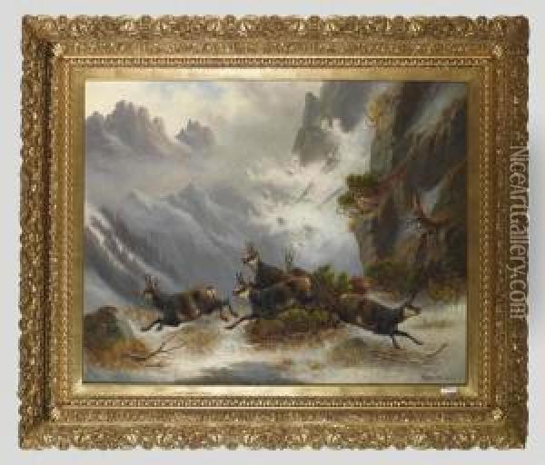 Gemsen Im Schnee Vor Lawine. Oil Painting - Moritz Muller