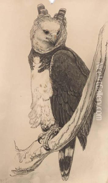 Great Horned Owl Oil Painting - Charles Livingston Bull