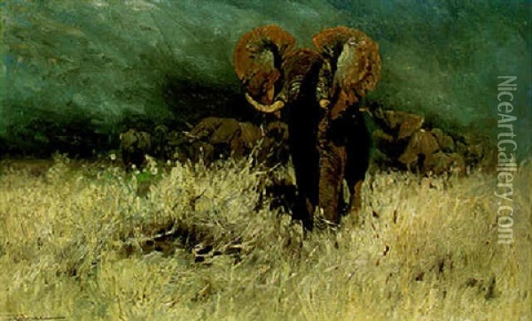 Elefantenbulle Und Herde Oil Painting - Wilhelm Friedrich Kuhnert