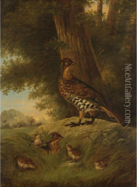 A Family Of Grouse In A Landscape Oil Painting - Howard Hill