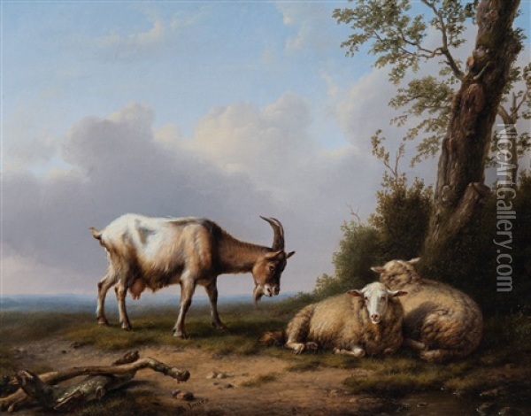 Goats And Sheep Oil Painting - Daniel-Adolphe-Robert Jones