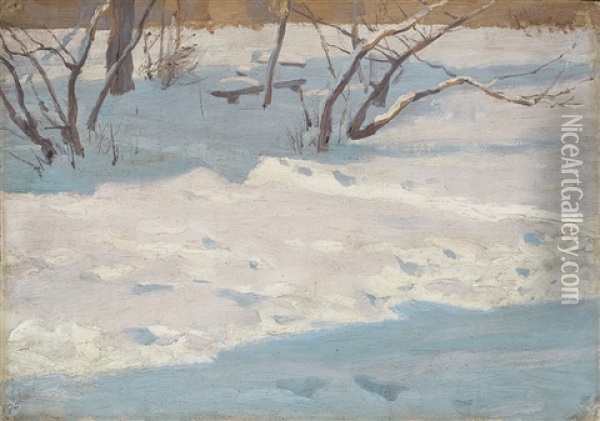 Winter Garden Oil Painting - Ferdynand Ruszczyc