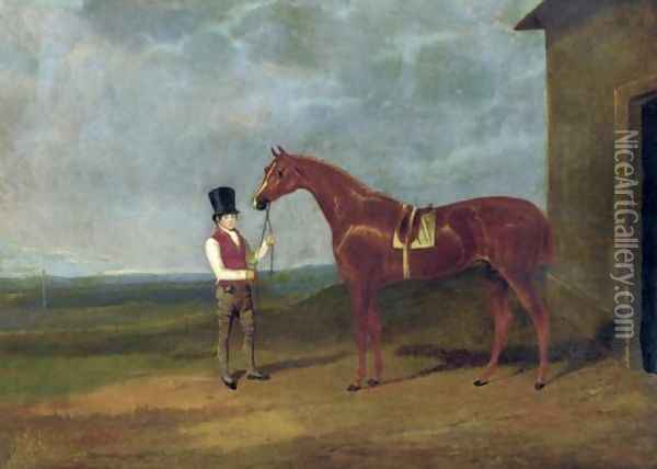 Mountaineer A Chestnut Colt 1826 Oil Painting - John Frederick Herring Snr
