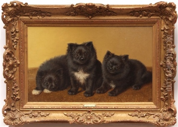 Three Pomeranians Oil Painting - Horatio Henry Couldery