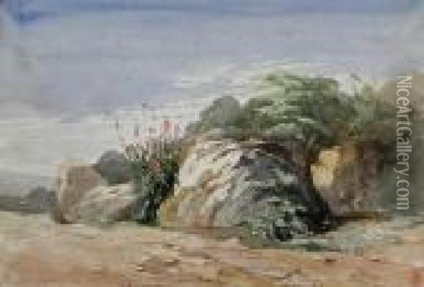 Study Of Rocks Oil Painting - Harry John Johnson