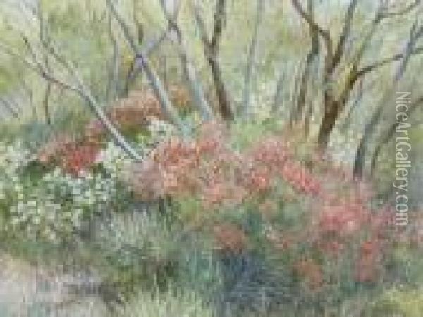 Bush Landscape Oil Painting - Bernard Walter Evans