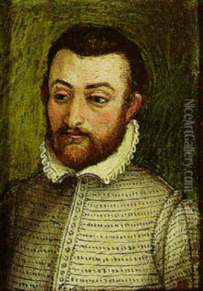 Portrait Of A Man Wearing A Grey Doublet Oil Painting - Bartolomeo Passarotti