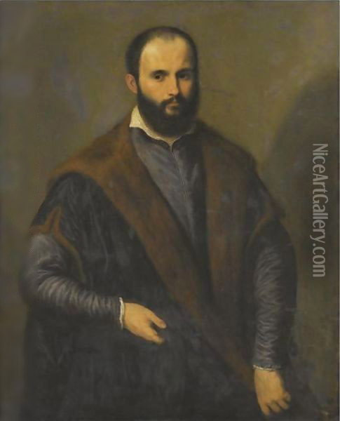 Portrait Of A Bearded Man Oil Painting - Paris Bordone
