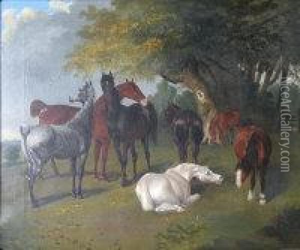 Horses In A Meadow Oil Painting - Charles Towne
