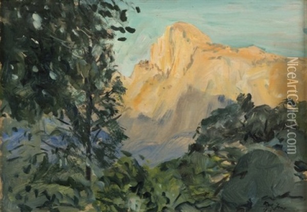 Mountain Shrubs Oil Painting - Karl Yens