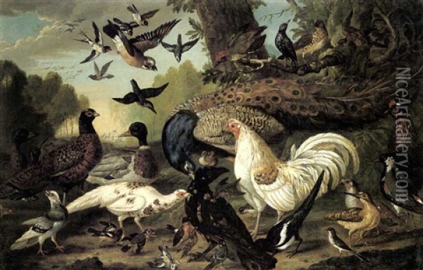 A Peacock, White Pheasant, Magpie And Other Birds In A Wooded Landscape Oil Painting - Pieter Casteels III