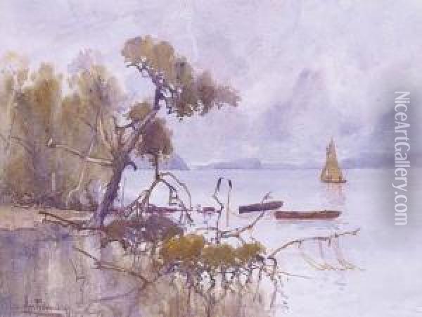 Pittwater Looking Towards Lion Island, New South Wales Oil Painting - Albert Henry Fullwood