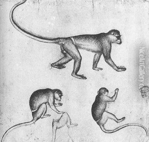 Apes (from the artist's sketchbook) c. 1430 Oil Painting - Antonio Pisano (Pisanello)