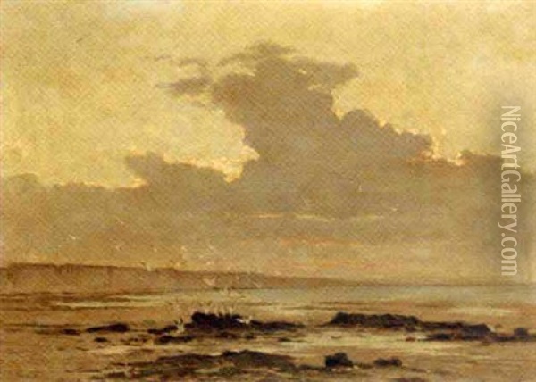Gulls On A Beach Oil Painting - Edouard (Paul E.) Rischgitz