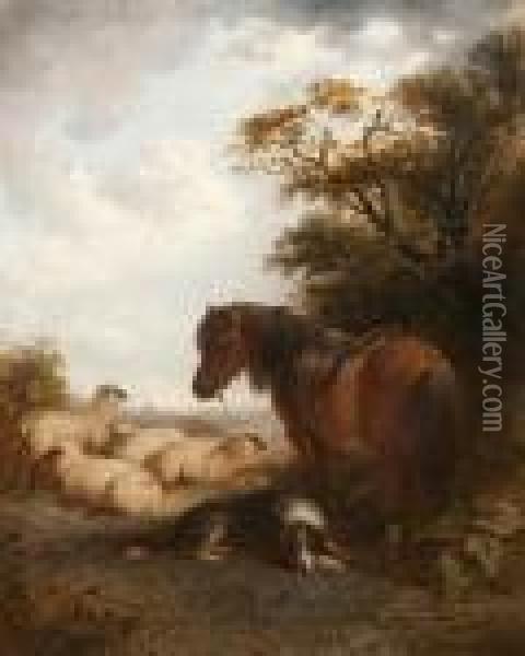 Brown Pony, Sheepdog And Flock On A Summer Hillside Oil Painting - Edward Robert Smythe
