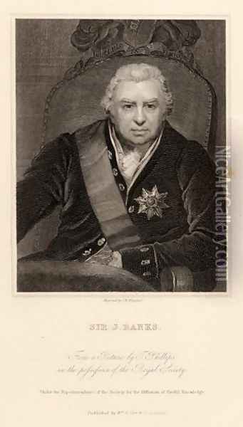 Sir Joseph Banks 1743-1820 Oil Painting - Thomas Phillips