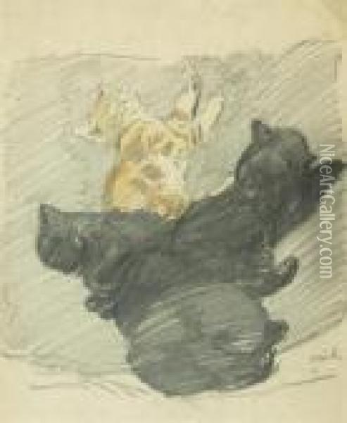 Cinq Chats Endormis Oil Painting - Theophile Alexandre Steinlen
