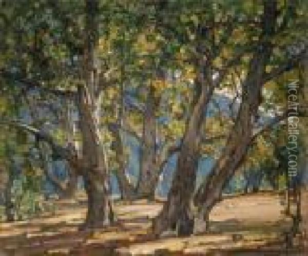 A Sycamore Grove - Laguna Oil Painting - William Wendt