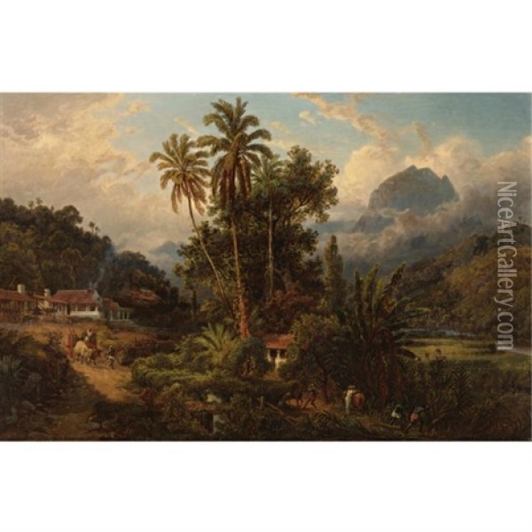 Hacienda De San Esteban De Puerto Cabello, Venezuela Oil Painting - Ferdinand Bellermann