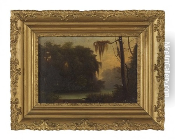 Swamp Scene In Louisiana Oil Painting - William Henry Buck