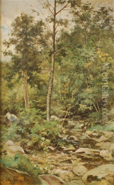 Ruisseau Dans Un Paysage Boise Oil Painting - Joseph Theodore Coosemans