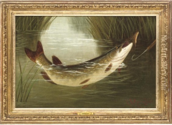 A Brown Trout Coming To The Gaff Oil Painting - A. Roland Knight