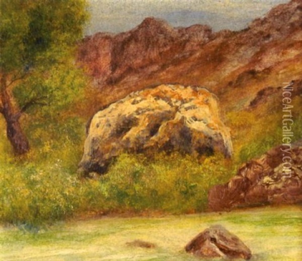 Paisaje Con Roca Oil Painting - Joaquin Clausell