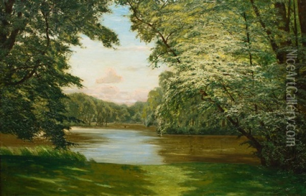 A Lake In Mecklenburg Oil Painting - Paul Mueller-Kaempff