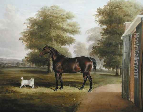 A Bay Horse with a Terrier 1845 Oil Painting - Thomas W. Bretland