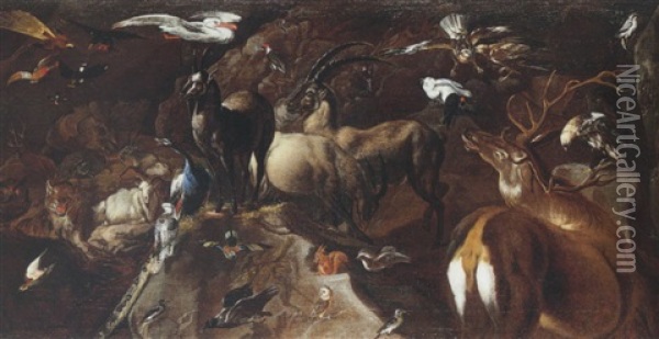 Study Of Animals And Birds, Including A Fox, Squirrel, Wolf, Red Deer, Ibex, Mountain Goats, Owls, A Peacock And Various Birds Of Prey Oil Painting - Carl Borromaus Andreas Ruthart