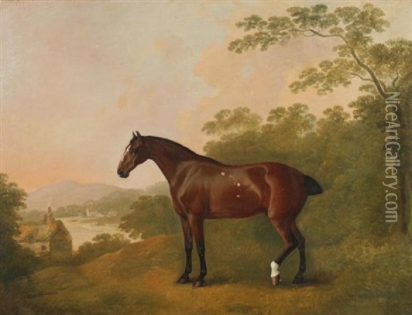 A Horse In A Landscape Oil Painting - John Boultbee
