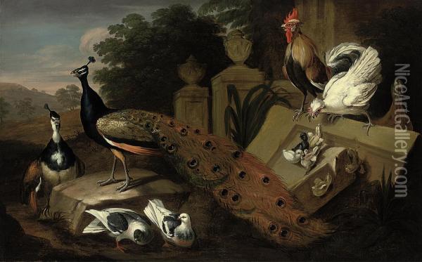 A Male And A Female Peacock, Two Doves, A Rooster, A Hen With Itschicks, And A Patridge Amongst Antique Vases And Ruins In A Landscape Oil Painting - Pieter Casteels
