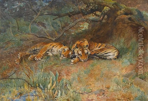 Two Tigers At Rest Oil Painting - Arthur Wardle