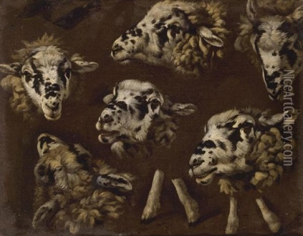 A Study Of Heads And Sheep Oil Painting - Johann Melchior Roos