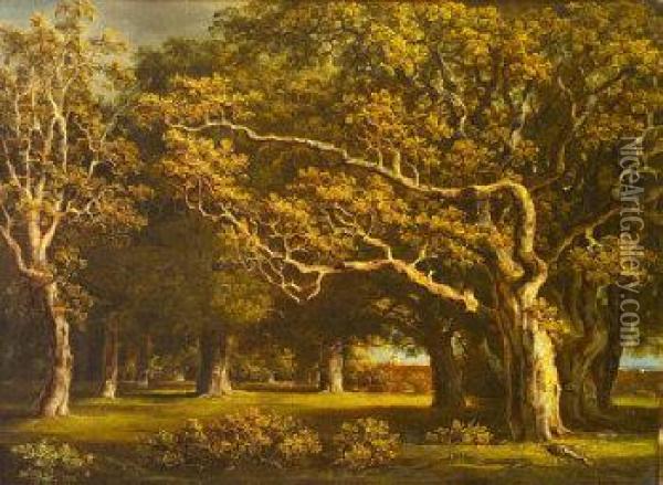Wooded Landscape With Figure Looking Over A Wall Oil Painting - James Arthur O'Connor