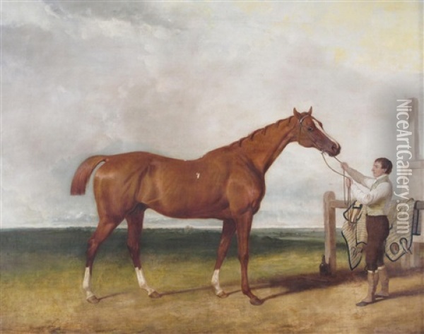 A Bay Hunter In A Park Held By A Groom Oil Painting - Abraham Cooper
