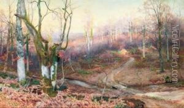 In The Heart Of The Forest Oil Painting - Walter Follen Bishop