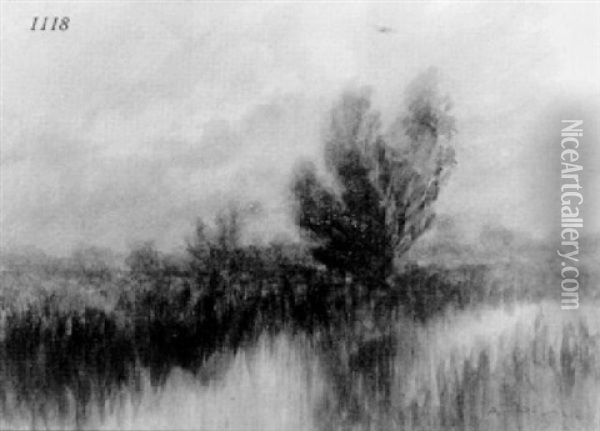 Dawn In The Marsh Oil Painting - Alexander John Drysdale