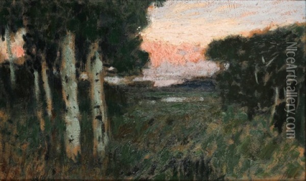 Sommerabend Im Moor Oil Painting - Hans am Ende
