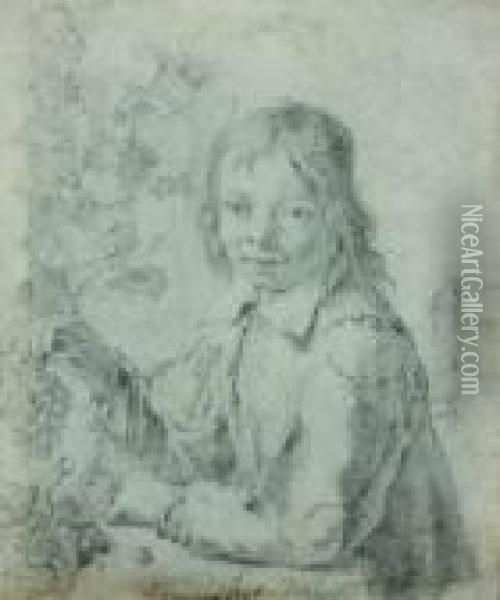 Jeune Homme Cueillant Du Raisin Oil Painting - Jacob Van Toorenvliet