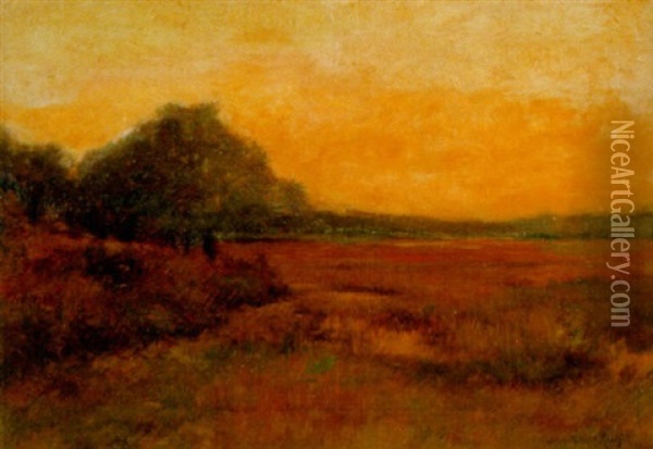 Sunlit Meadow Oil Painting - John Willard Raught