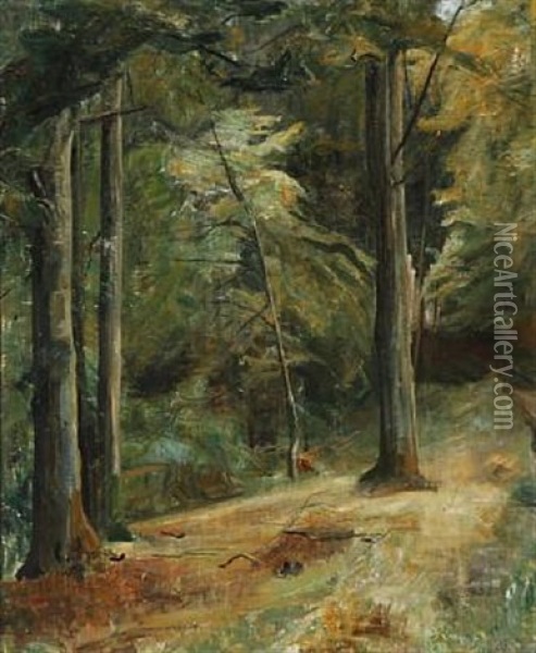 Forest Scene Oil Painting - Aage Bertelsen
