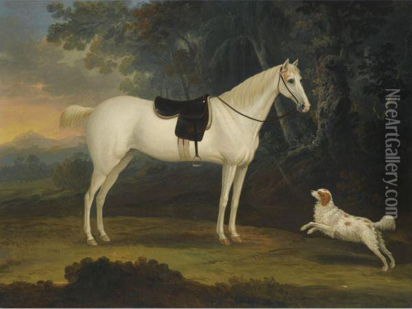 Portrait Of Cygnet, A Grey Horse, With A White Spaniel In A Landscape Oil Painting - Thomas Gooch