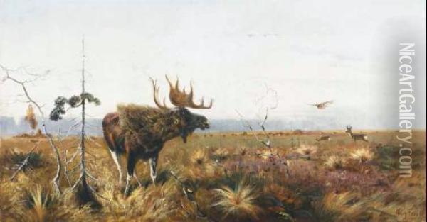 Moose And Deer Herd In An Extensive Landscape Oil Painting - Richard Bernhard L. Friese