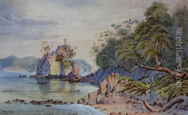 Harlequin And Sulphur Inlet, Coromandel Oil Painting - Alfred Sharpe