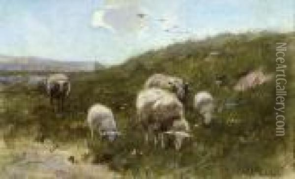 Weidende Schafe Oil Painting - Cornelis I Westerbeek