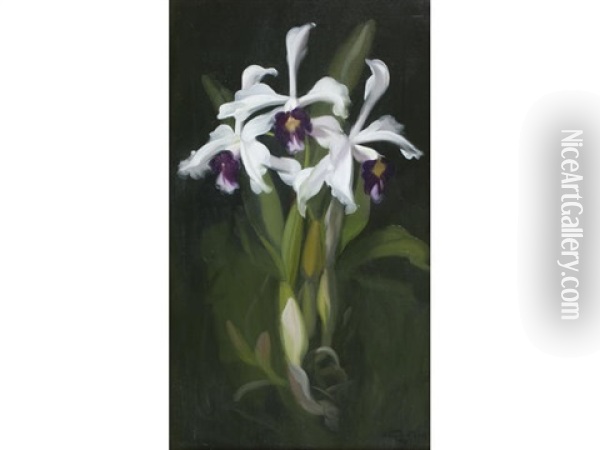 Lilies Oil Painting - Stuart James Park