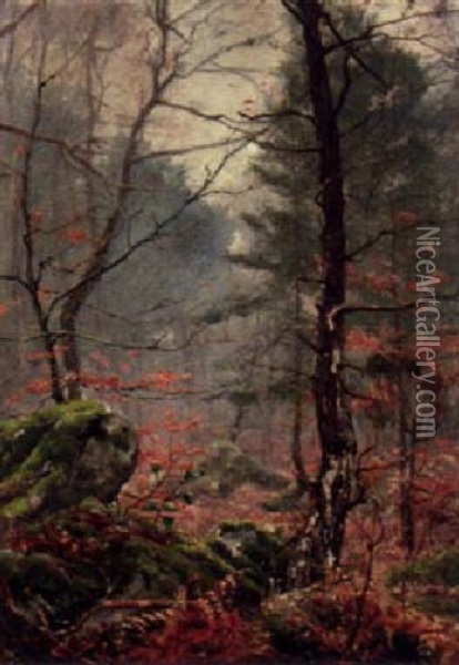 A Forest In Autumn Oil Painting - Paul Francois Louchet
