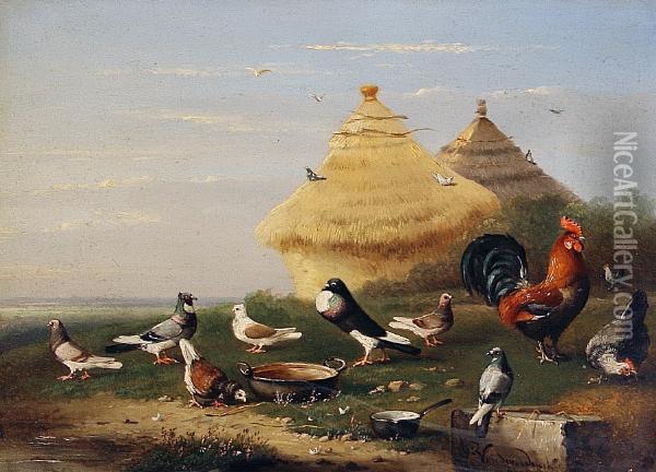 Pigeons And Chickens Oil Painting - Franz van Severdonck