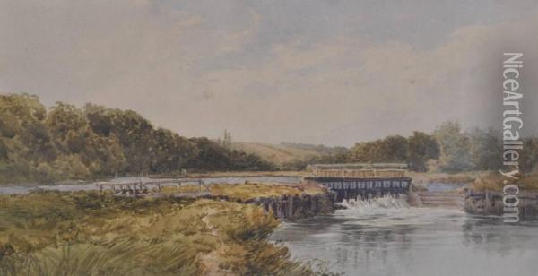 A Weir On The River Oil Painting - David Law